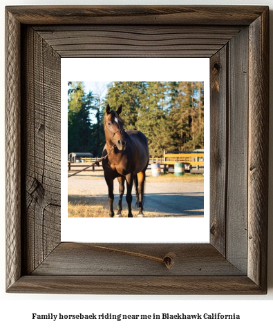 family horseback riding near me in Blackhawk, California